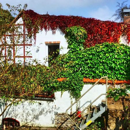 Apartmán Zeitraum Fewo Bad Wildungen Exteriér fotografie
